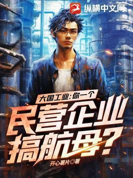 大国工业你一个民营企业搞航母? 第1096章