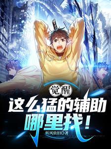万国觉醒辅助