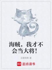 海贼之我只会大招