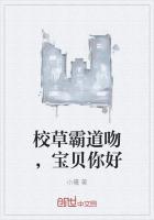 天君临道精校版