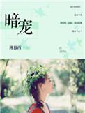 暗宠娇妻包