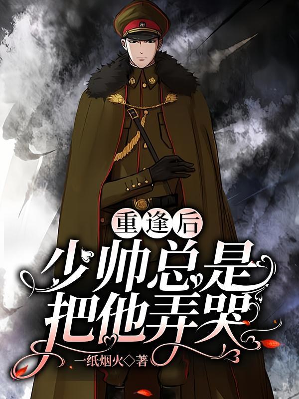 少帅又在