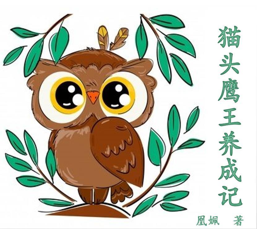 猫头鹰王国书