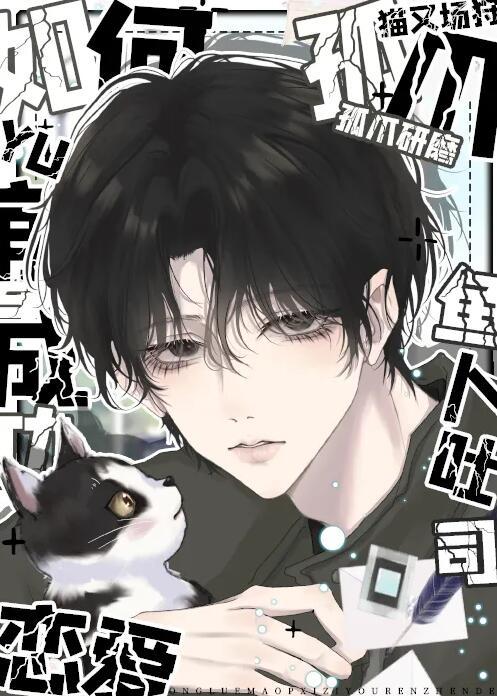 攻略猫系二传真的没问题吗晋江