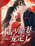 陆少宠妻太甜蜜免费阅读