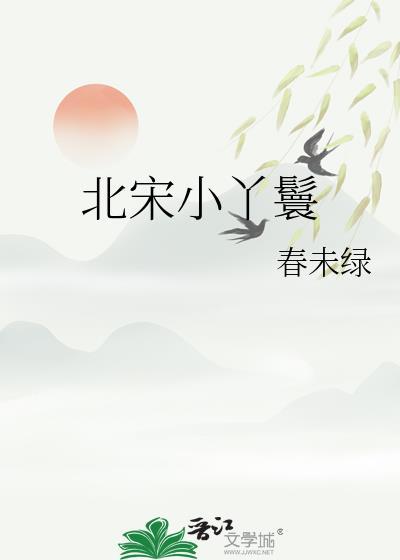 北宋小丫鬟番外txt百度