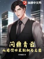 问鼎巅峰笔趣阁