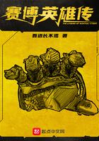 赛博英雄传 百科