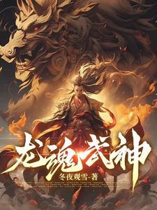 龙魂武装