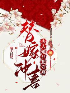 夫人她只想守寡txt