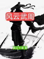 风云武天下结局