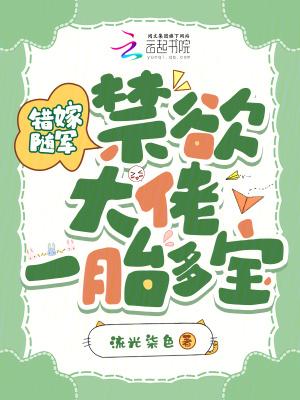 错嫁之一代军师