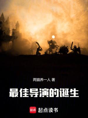 最佳导演的诞生TXT