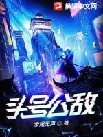 头号公敌2008