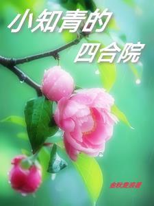 小知青的四合院_金秋麦浪