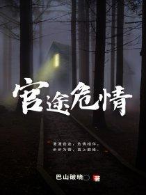官途剧情介绍