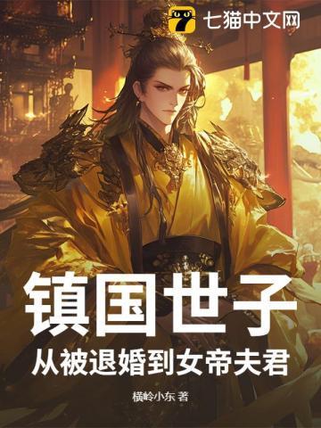 镇国夫人免费全文