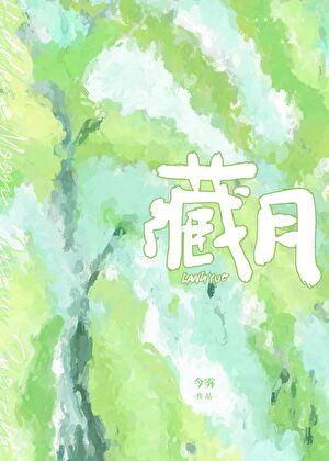 藏月光