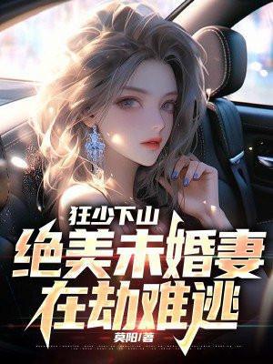 高手下山我的绝美未婚妻
