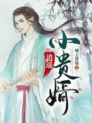 逍遥小贵婿李辰安结局