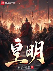 皇明太阳能控制器说明书图解
