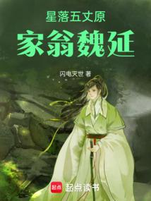 星落五丈原的主要内容