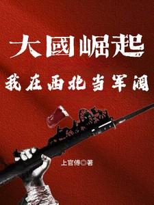 大国崛起我在西北当军阀
