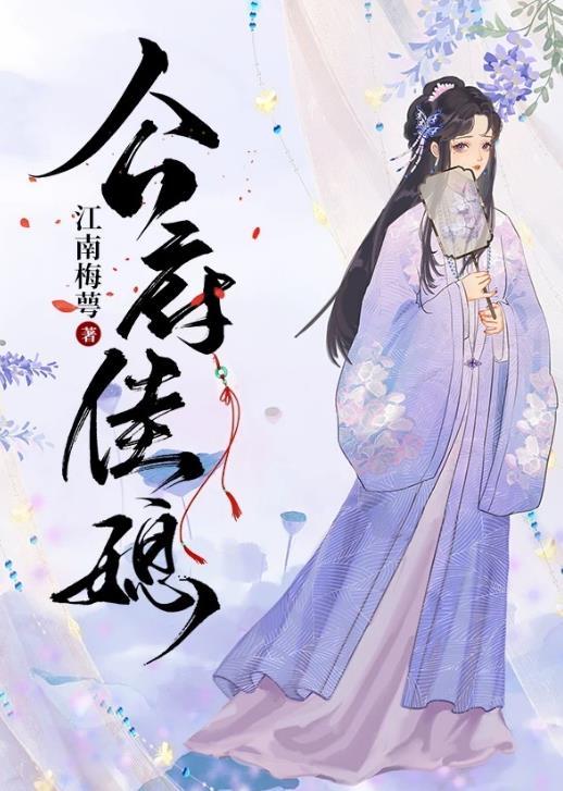 公府佳媳类似推荐