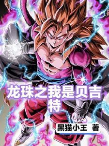 龙珠之我是贝吉塔全集