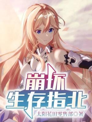 崩坏指南