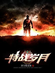 特战连续剧