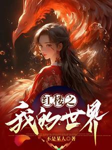 红楼之我是黛玉她哥全本