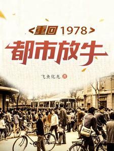 重生重返1978